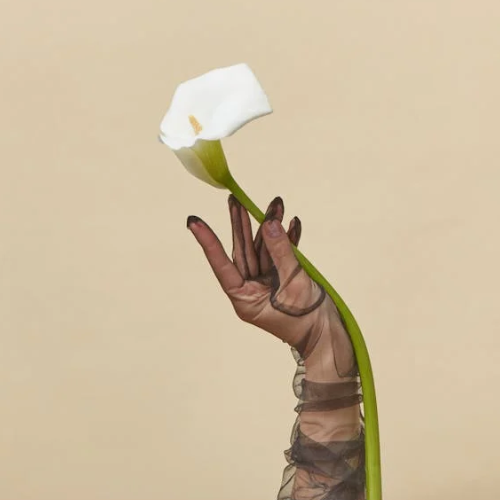 LINGERIE ACCESSORIES